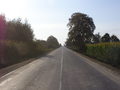Żółkiewka