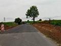 zdj. nr 7 Realizacji inwestycji drogowej pn.: „Rozbudowa drogi powiatowej nr 3106L Borówek - Suche Lipie w m. Borówek”