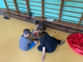 zajęcia